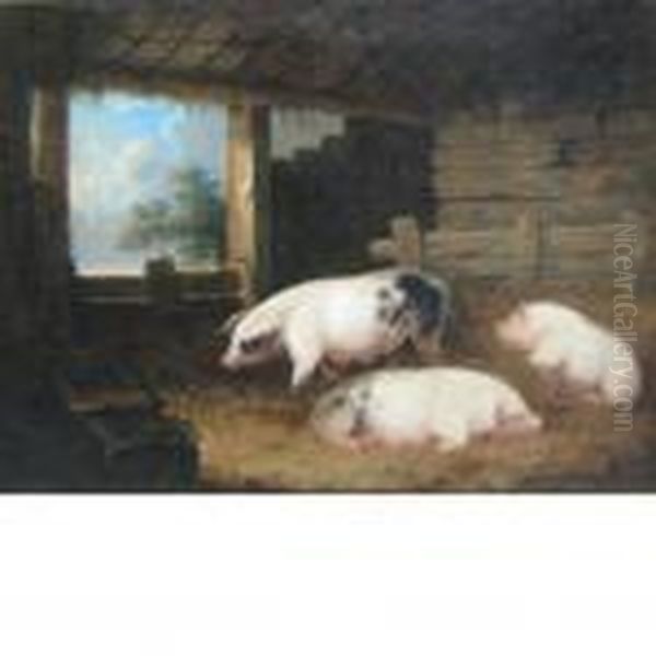 Three Sows In A Pen Oil Painting by George Morland