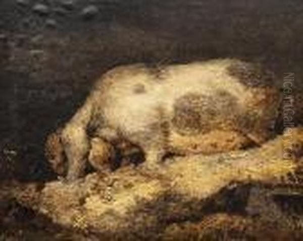 Sketch Of A Sow by George Morland