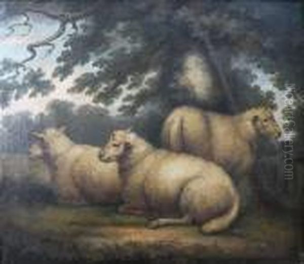 Three Sheep Resting Beneath A Tree Oil Painting by George Morland