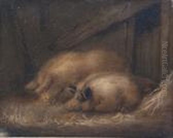 Two Pigs In A Stable Oil Painting by George Morland