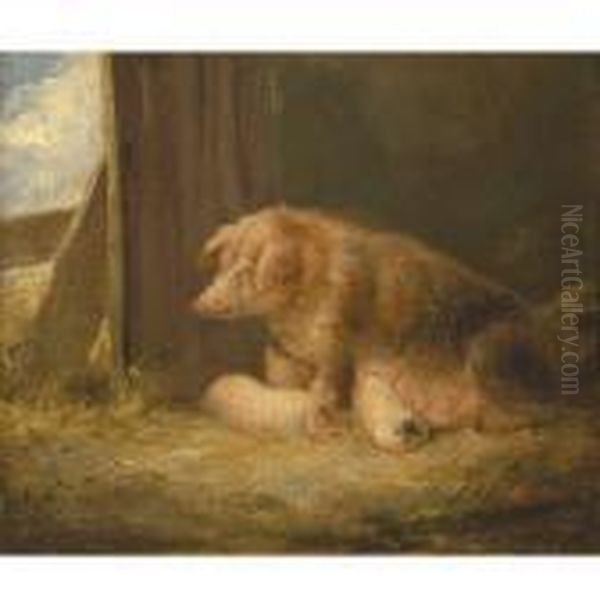 A Sow And Her Piglets Oil Painting by George Morland