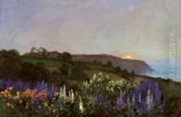 Delphiniums On A Hillside At Sunset Oil Painting by Thomas E. Mostyn