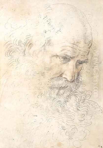 The head of a bearded man looking down Oil Painting by Guido Reni