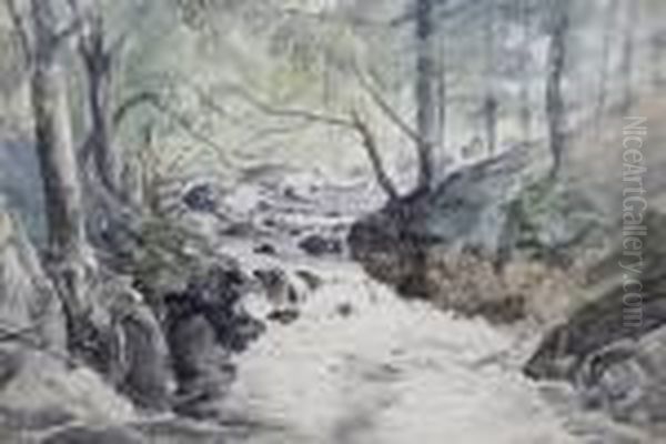 Woodland Stream Oil Painting by William James Muller