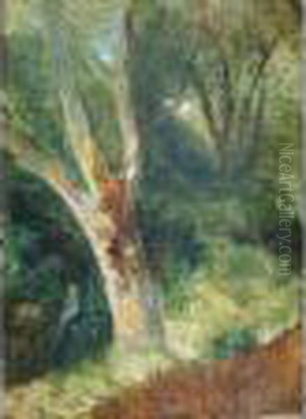 Tree Study Oil Painting by William James Muller