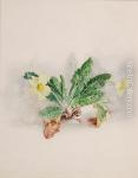 Study Of Primroses Oil Painting by William James Muller