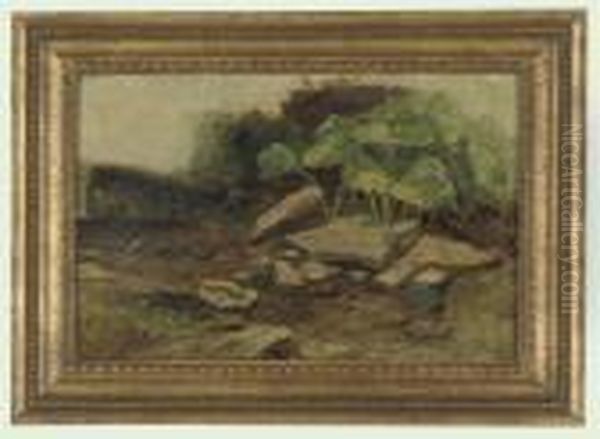 Study Of Rocks And Plants Oil Painting by William James Muller