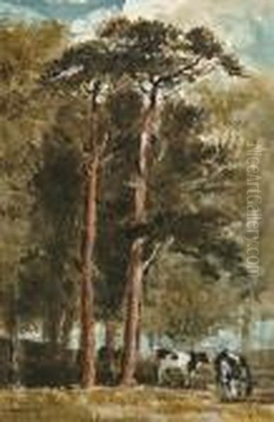 Cattle Grazing Under Scotts Pines Oil Painting by William James Muller