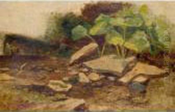 Study Of Plants And Rocks Oil Painting by William James Muller