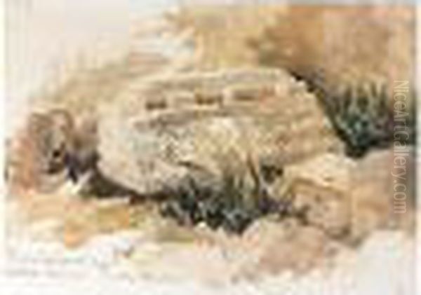 A Roman Fragment At Xanthus, Lycia Oil Painting by William James Muller