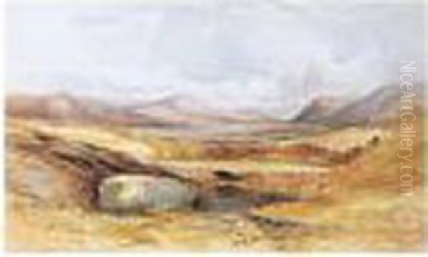 Vale Of Conway, North Wales Oil Painting by William James Muller