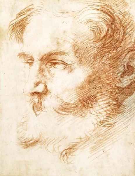 Head of a bearded man, looking to the left Oil Painting by Jusepe de Ribera