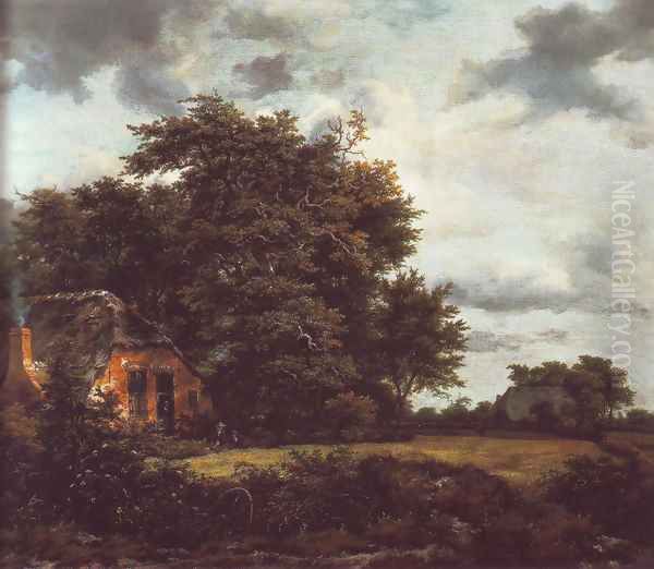 Cottage under trees near a grainfield Oil Painting by Jacob Van Ruisdael