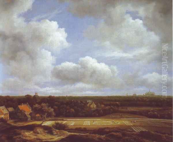 View of the plain of haarlem with bleaching grounds Oil Painting by Jacob Van Ruisdael