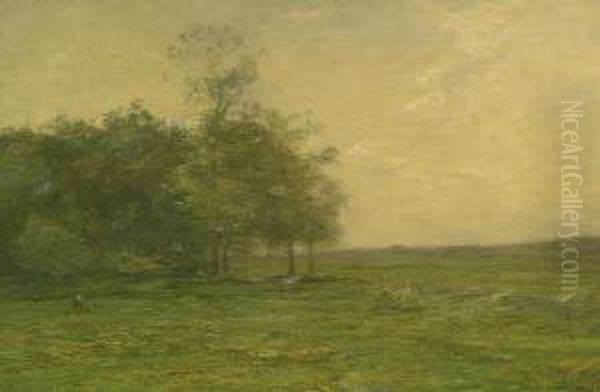 The Meadow Oil Painting by John Francis Murphy