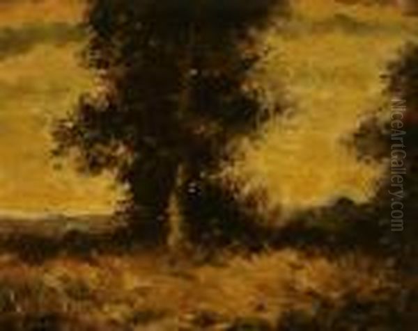 Tree In A Landscape Oil Painting by John Francis Murphy