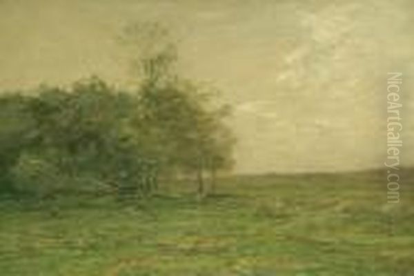 ''copse And Field'' Oil Painting by John Francis Murphy