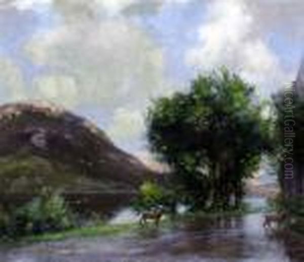 Deer Crossing A Lakeland Path Oil Painting by David Murray