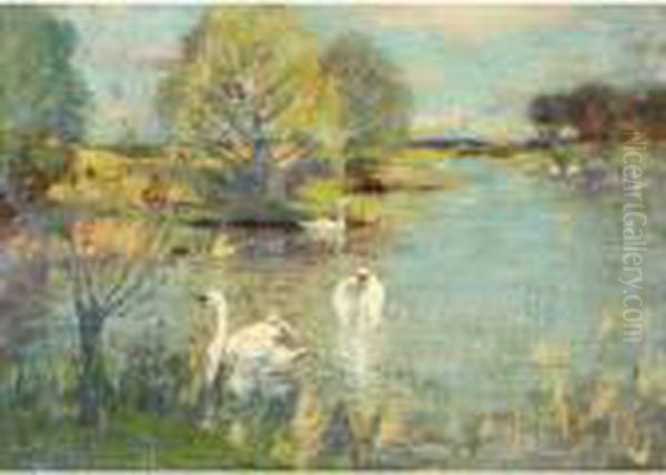 The Swan Lake Oil Painting by David Murray