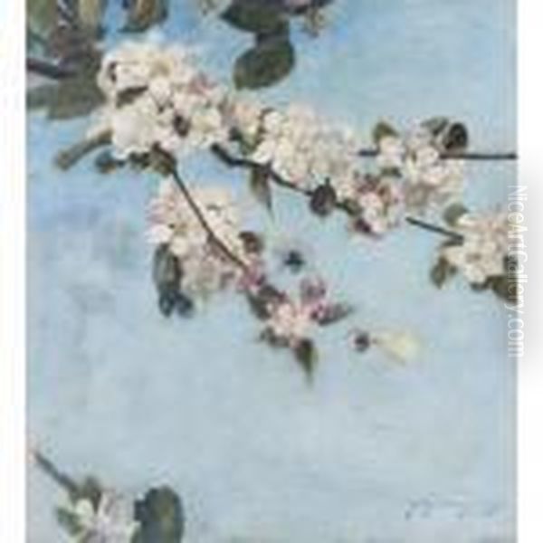 Apple Blossom Oil Painting by David Murray