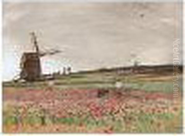 The Poppy Field Oil Painting by David Murray