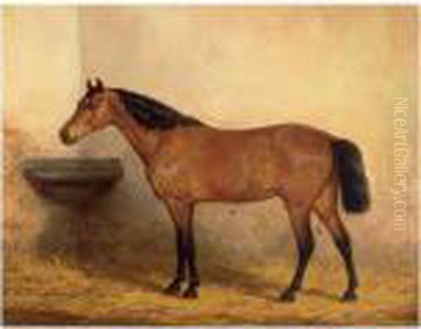 A Thoroughbred Oil Painting by Willem Carel Nakken