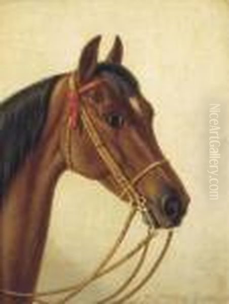 Head Of A Horse Oil Painting by Willem Carel Nakken