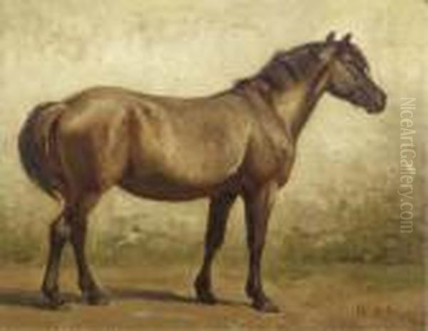 A Brown Horse - A Study Oil Painting by Willem Carel Nakken