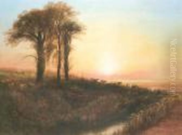 Cattle At Sunset Oil Painting by Andrew Nicholl