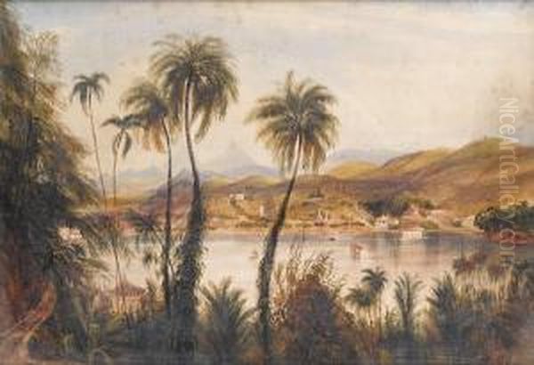 A River In Ceylon Oil Painting by Andrew Nicholl