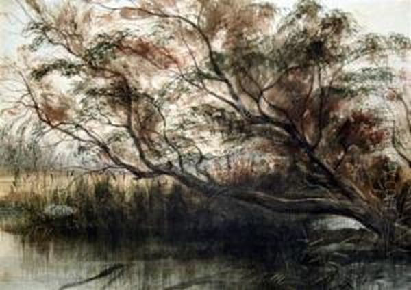 Trees And Rushes Beside A Pond Oil Painting by Andrew Nicholl