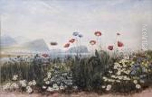 Bray Head Seen Through A Bank Of Wild Flowers Oil Painting by Andrew Nicholl