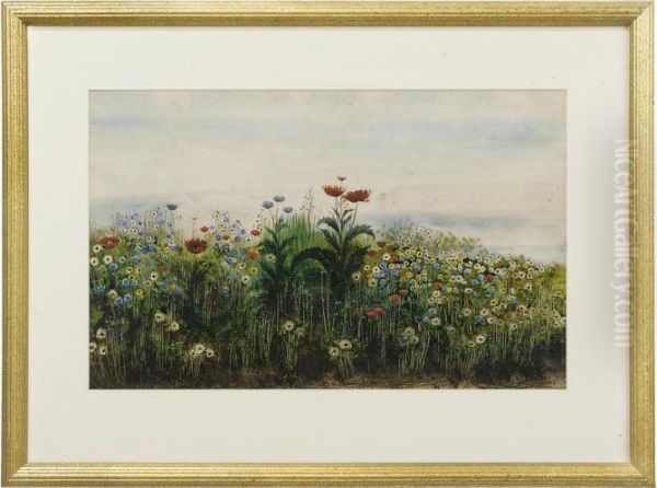 Poppies And Wild Flowers, A Landscape Beyond Oil Painting by Andrew Nicholl