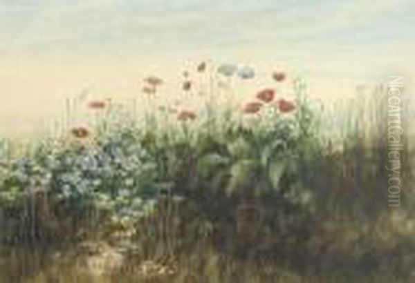 A Bank Of Poppies, Cornflowers, Marigolds And Other Wild Flowers Oil Painting by Andrew Nicholl