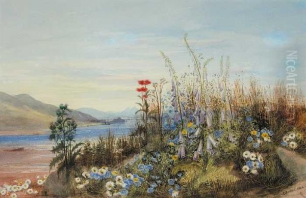 Bank Of Wild Flowers With View Of A Fort,lough And Mountains In The Distance Oil Painting by Andrew Nicholl