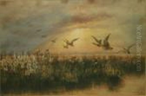 Mallards Over Strangford, Co Down Oil Painting by Andrew Nicholl