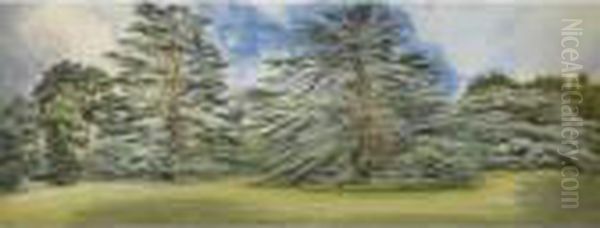 The Cedar, Shrubland Park Oil Painting by Andrew Nicholl