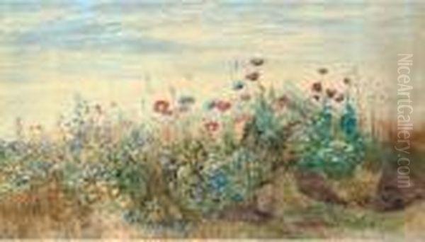 A Flowerbank With Poppies, Harebells And Marigolds Oil Painting by Andrew Nicholl