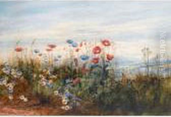 A Poppyfield With A View Of Doe Castle, Co.donegal Oil Painting by Andrew Nicholl