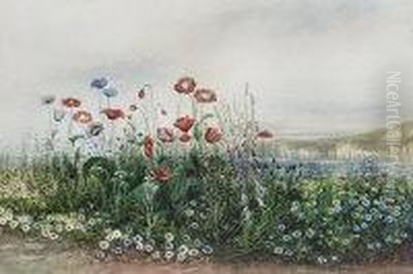 Poppies And Wild Flowers With Dunluce Castle Beyond, County Antrim Oil Painting by Andrew Nicholl