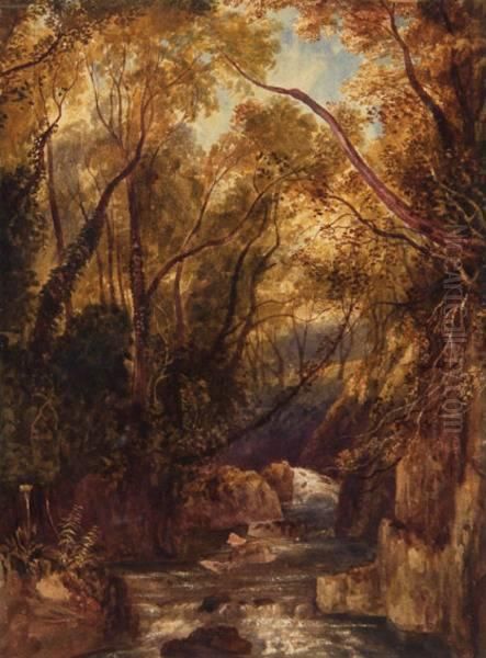 Atrributed To A Stream Flowing Through A Leafy Glade Oil Painting by Andrew Nicholl