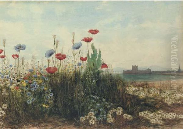 Poppies And Daisies With Carrickfergus Castle, Co. Antrim In Thedistance Oil Painting by Andrew Nicholl