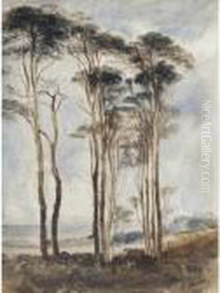 Scots Pines Oil Painting by Andrew Nicholl