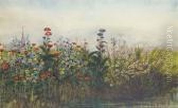 Poppies, Buttercups And Daisies Oil Painting by Andrew Nicholl