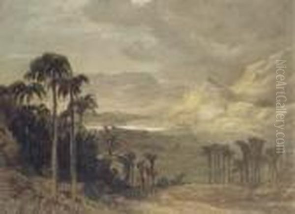 A View In Ceylon Oil Painting by Andrew Nicholl