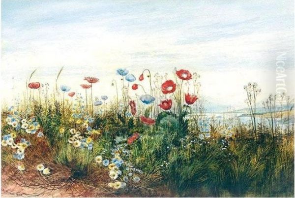 A Poppyfield With A View Of Doe Castle, County Donegal Oil Painting by Andrew Nicholl