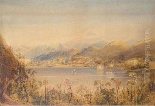 A Scene In The Island Of Ceylon Oil Painting by Andrew Nicholl