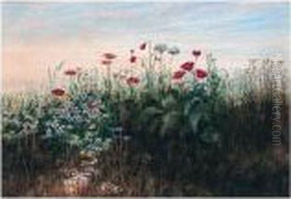 A Bank Of Wild Flowers Oil Painting by Andrew Nicholl