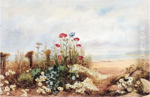 Wild Flowers And Poppies With A Distant View Of Fairhead, Co. Antrim Oil Painting by Andrew Nicholl