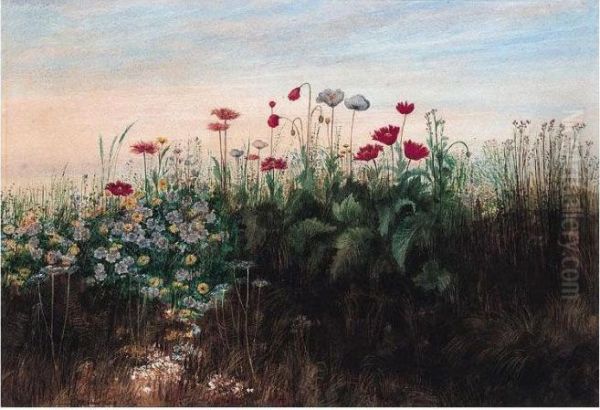 A Fringe Of Wild Flowers Oil Painting by Andrew Nicholl